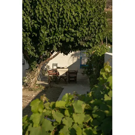 度假居 Waves Of Eros Paralia (Evia)